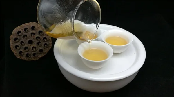 天芥菜の室内栽培、成功するコツと育て方のポイント